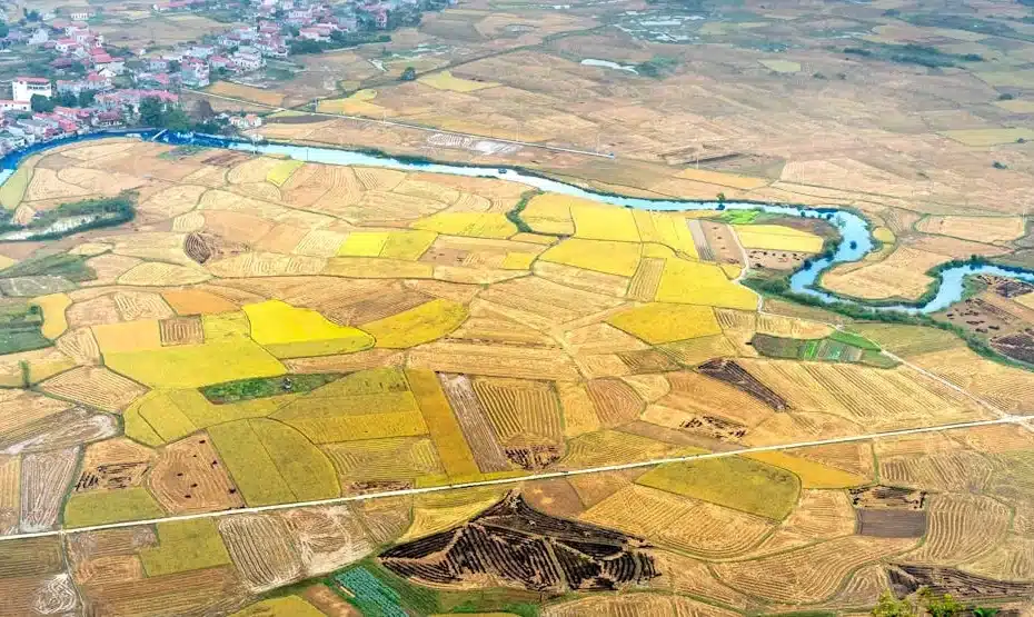 Friche terrain industriel parcelle agricole quels fonciers sont adaptés